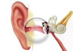Külső hallójárat gyulladás  (Otitis externa)